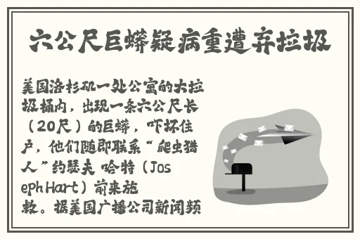 穿裙子忘穿内裤了该咋办呢